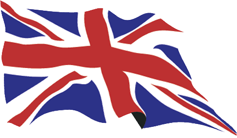 A close up of a flagDescription automatically generated
